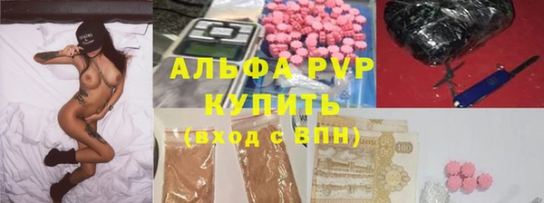 прущие грибы Бугульма